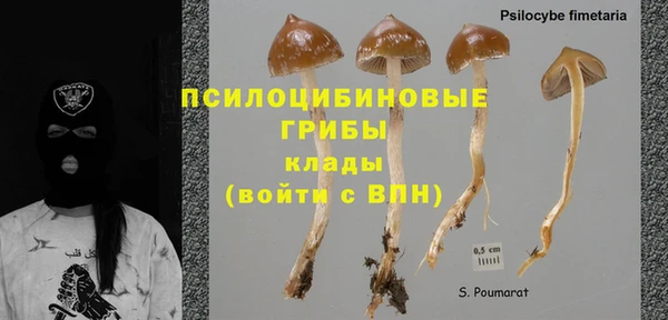 амф Алзамай