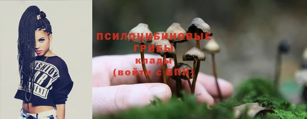 амф Алзамай