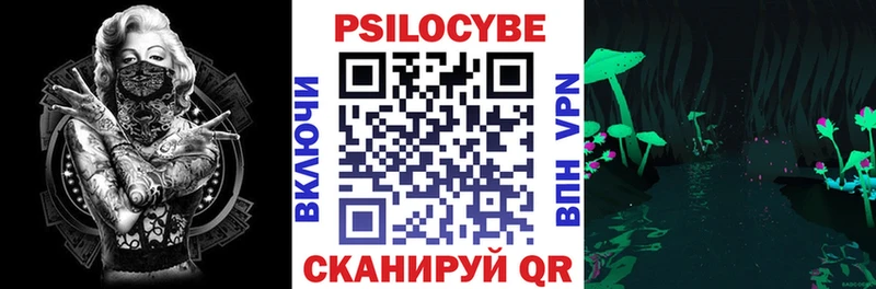 где купить наркоту Муравленко Псилоцибиновые грибы Cubensis