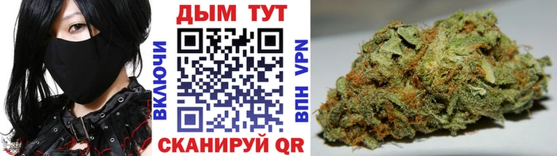 купить закладку  Муравленко  Канабис MAZAR 